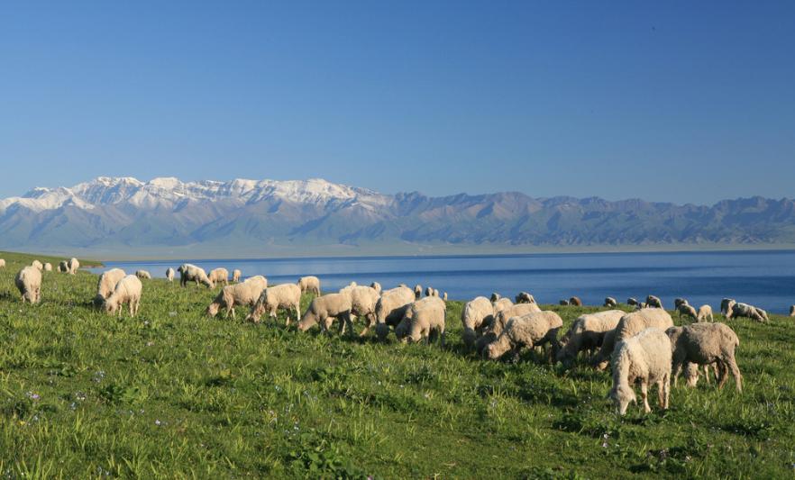 「推荐」19.9元/2罐绵羊油，全身可用，嫩回少女肌