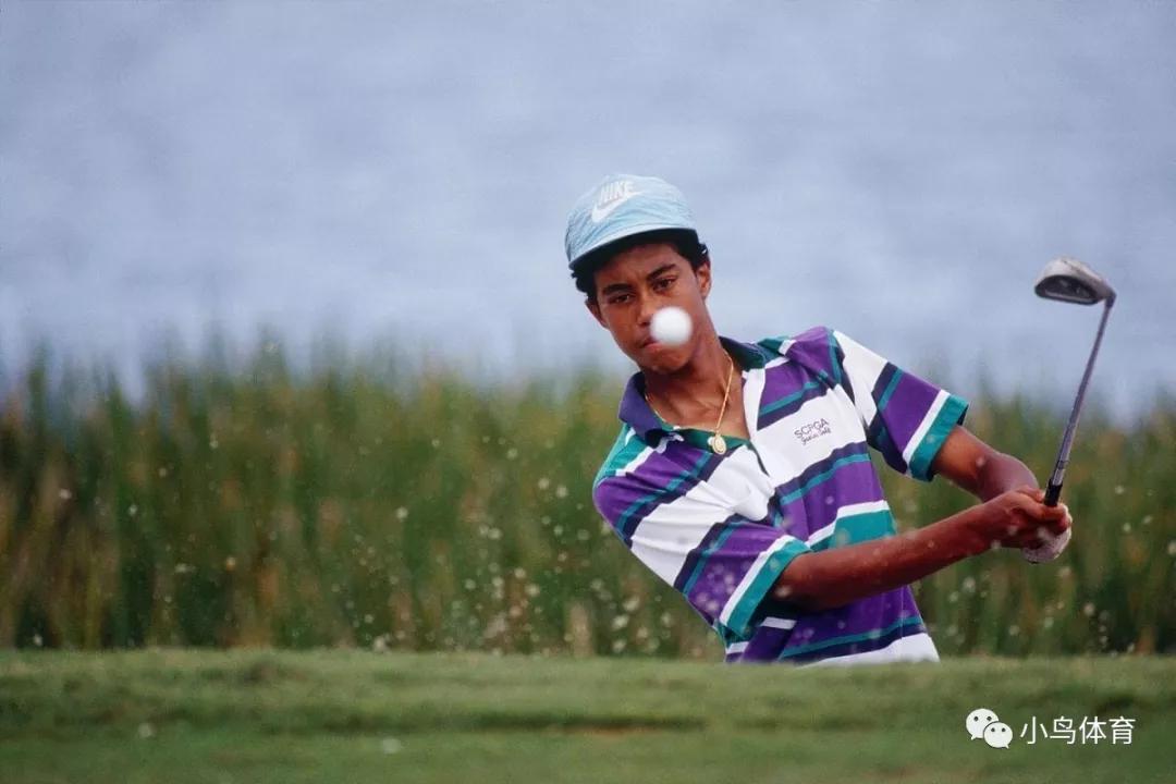 美国高尔夫老虎伍兹,高尔夫名将老虎伍兹