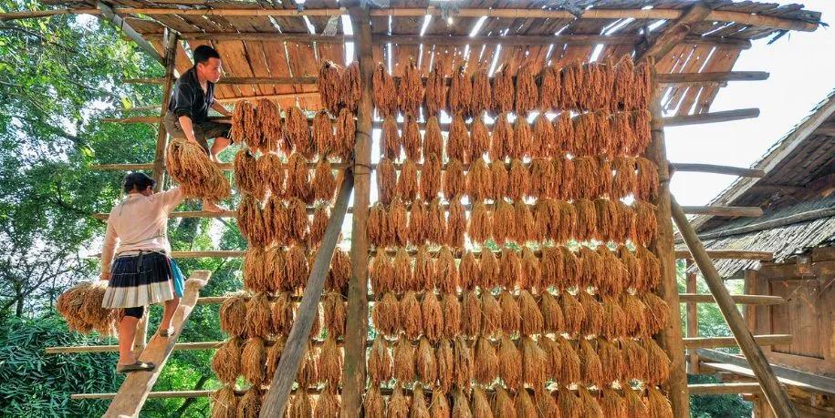 贵州上榜2020最佳旅游目的地,十大最佳旅行地区贵州