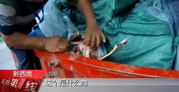 上千吨僵尸肉被查,42万吨僵尸肉