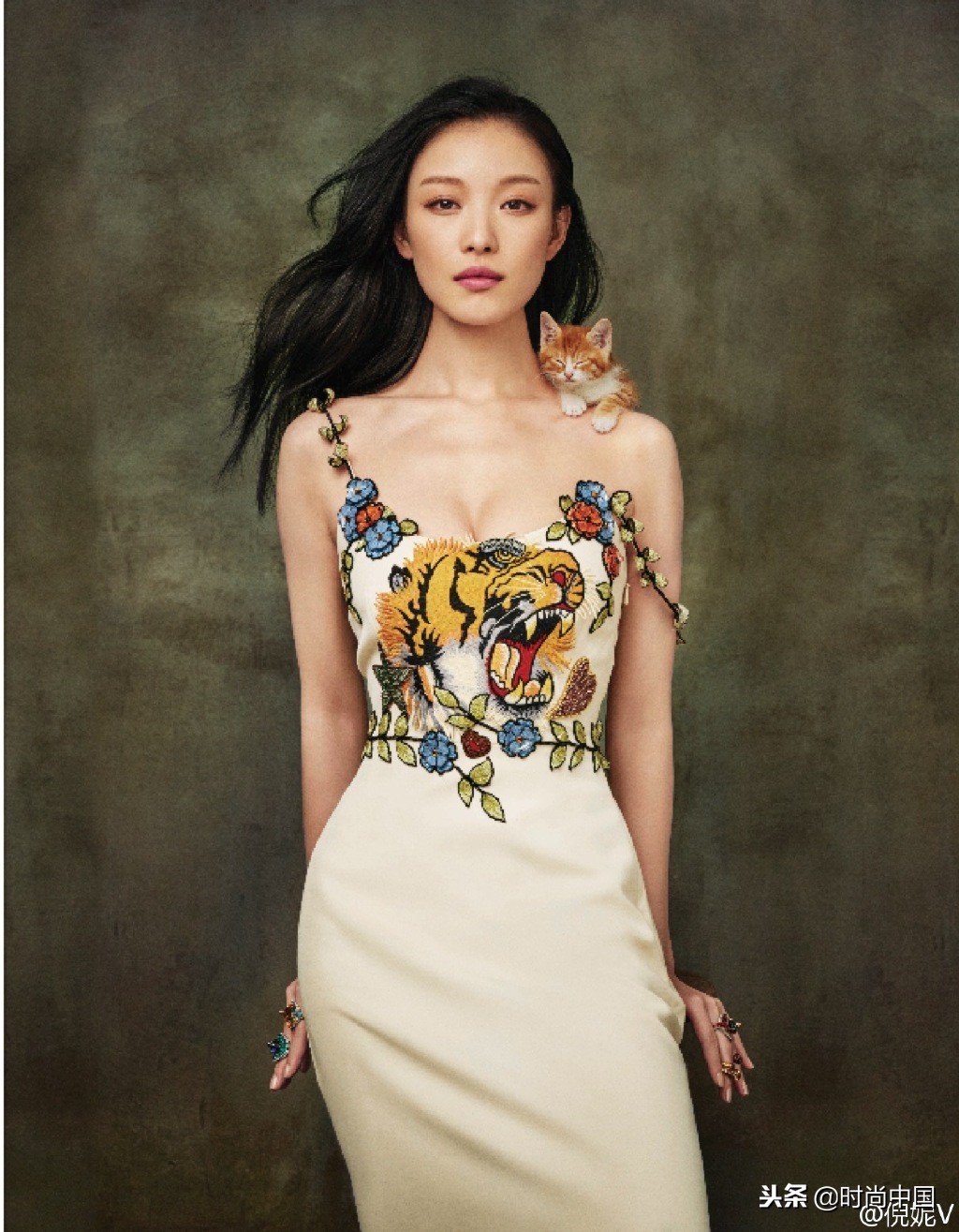 倪妮同款小猫咪,倪妮李宇春奇妙的动物