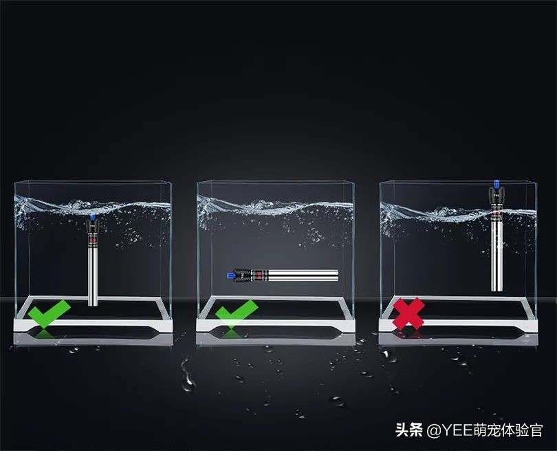 新手入门养鱼技巧,新手鱼缸养鱼知识与技巧