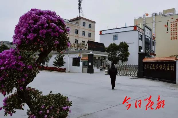 村居人居环境综合整治,清理村居垃圾美化村居环境