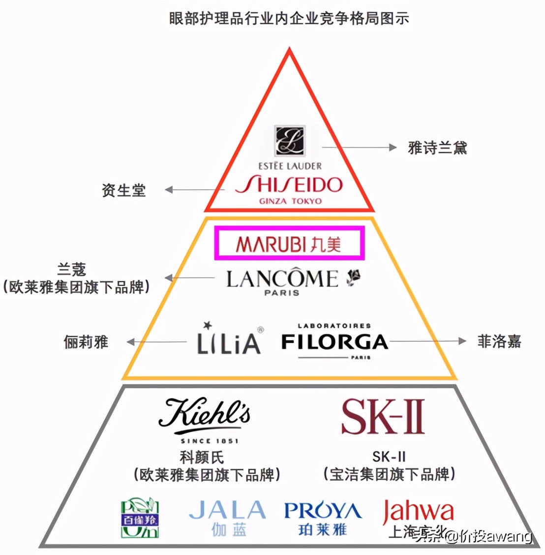 丸美护肤品龙头股,丸美股份的爆款