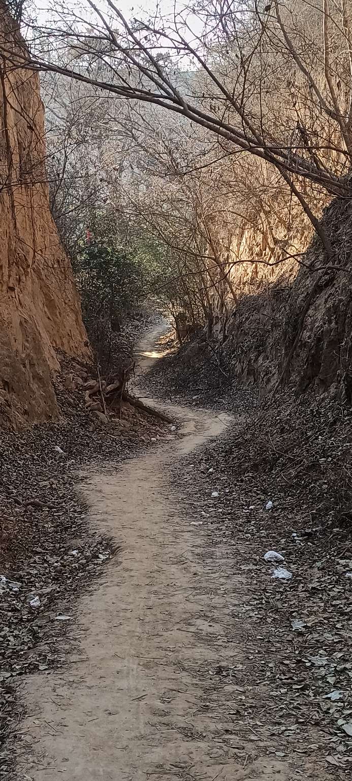 冬天的微锻炼，无意间找到一处篮球和足球场，非周末无人！来