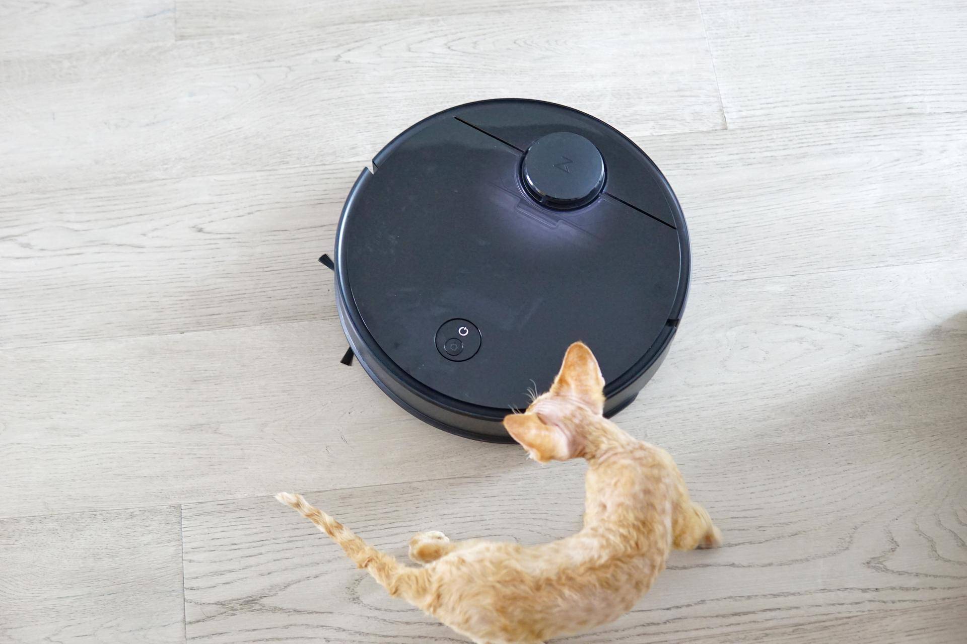 閫佸濮愮ぜ鐗╂帓琛屾娓呭崟,閫佺粰濮愬绀肩墿娓呭崟