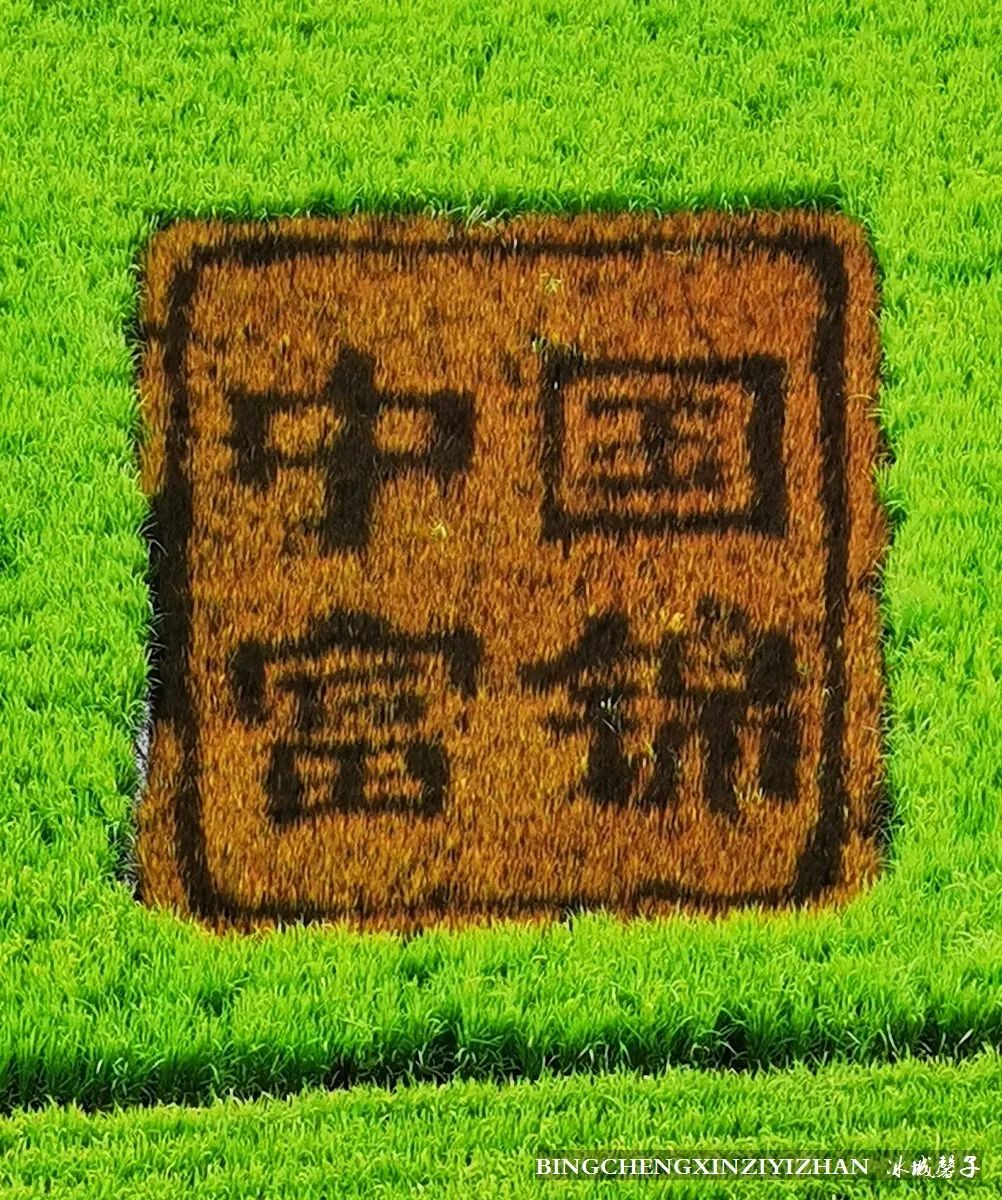 再返富锦，为着那份飘着稻花香的“湿”意约定