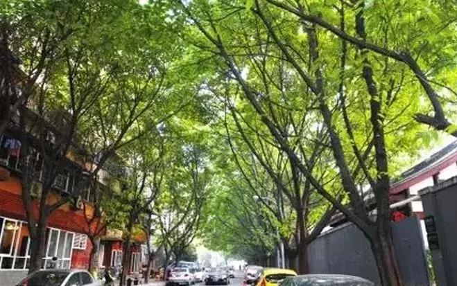 成都近郊10个免费景点,成都小众景点推荐