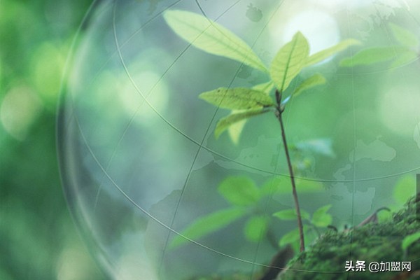 环保生意赚钱吗,有关环保的生意项目