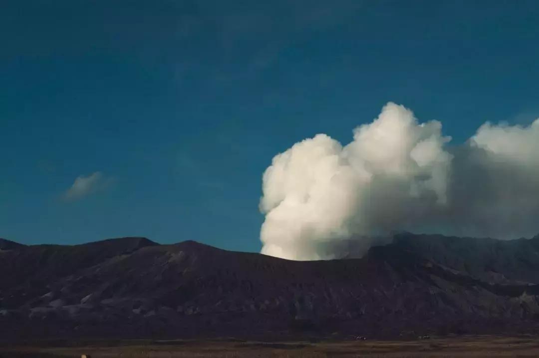 亚航大促机票怎么抢2024,亚航特价机票最新消息