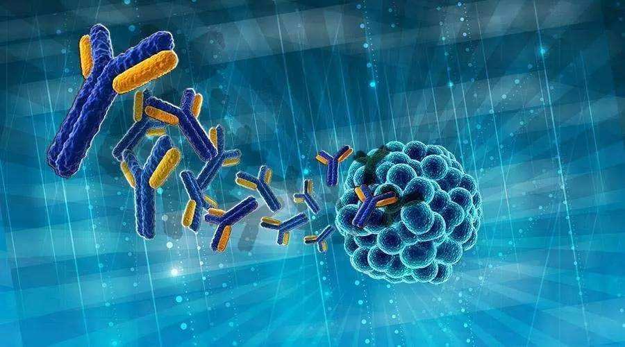 c反应蛋白crp高是哪里有炎症,血清c反应蛋白是查病毒还是细菌
