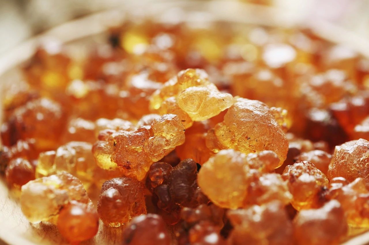 莫斯科不相信眼泪但桃胶不能没有眼泪