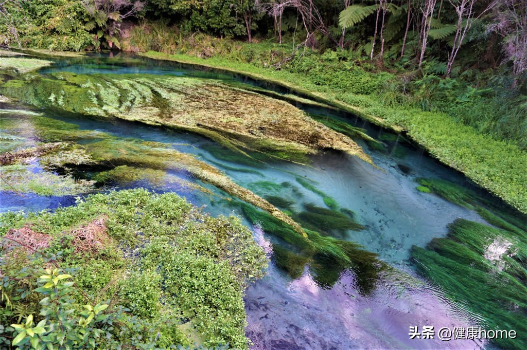 新西兰霍比特人村攻略,新西兰霍比特蓝泉一日游