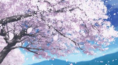 2019限量樱花,最好看的樱花品牌