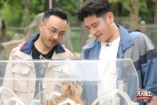 这节目有毒，13年过去了，出现在这节目里的主持人几乎都出事了