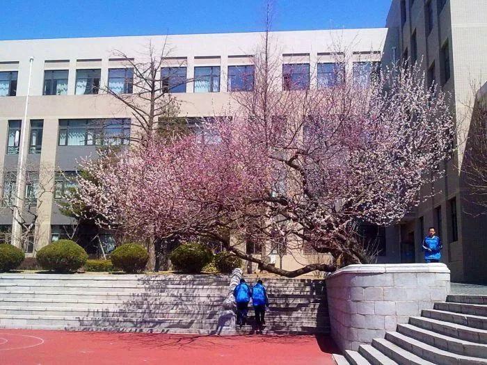 辽宁省大连市开发区第八高级中学,辽宁省所有的高级中学