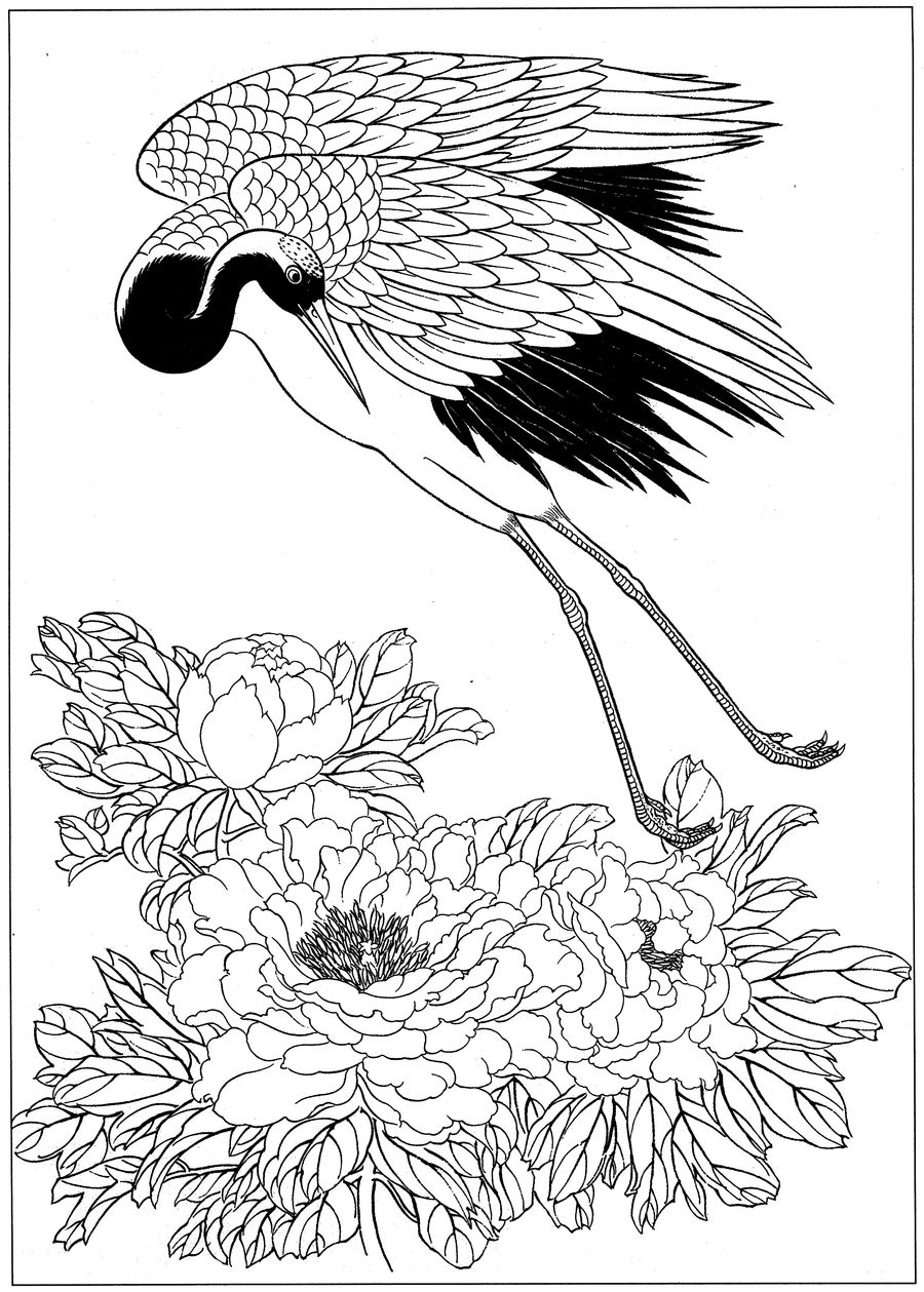 仙鹤桃子工笔白描稿,工笔画仙鹤高清图上色步骤图