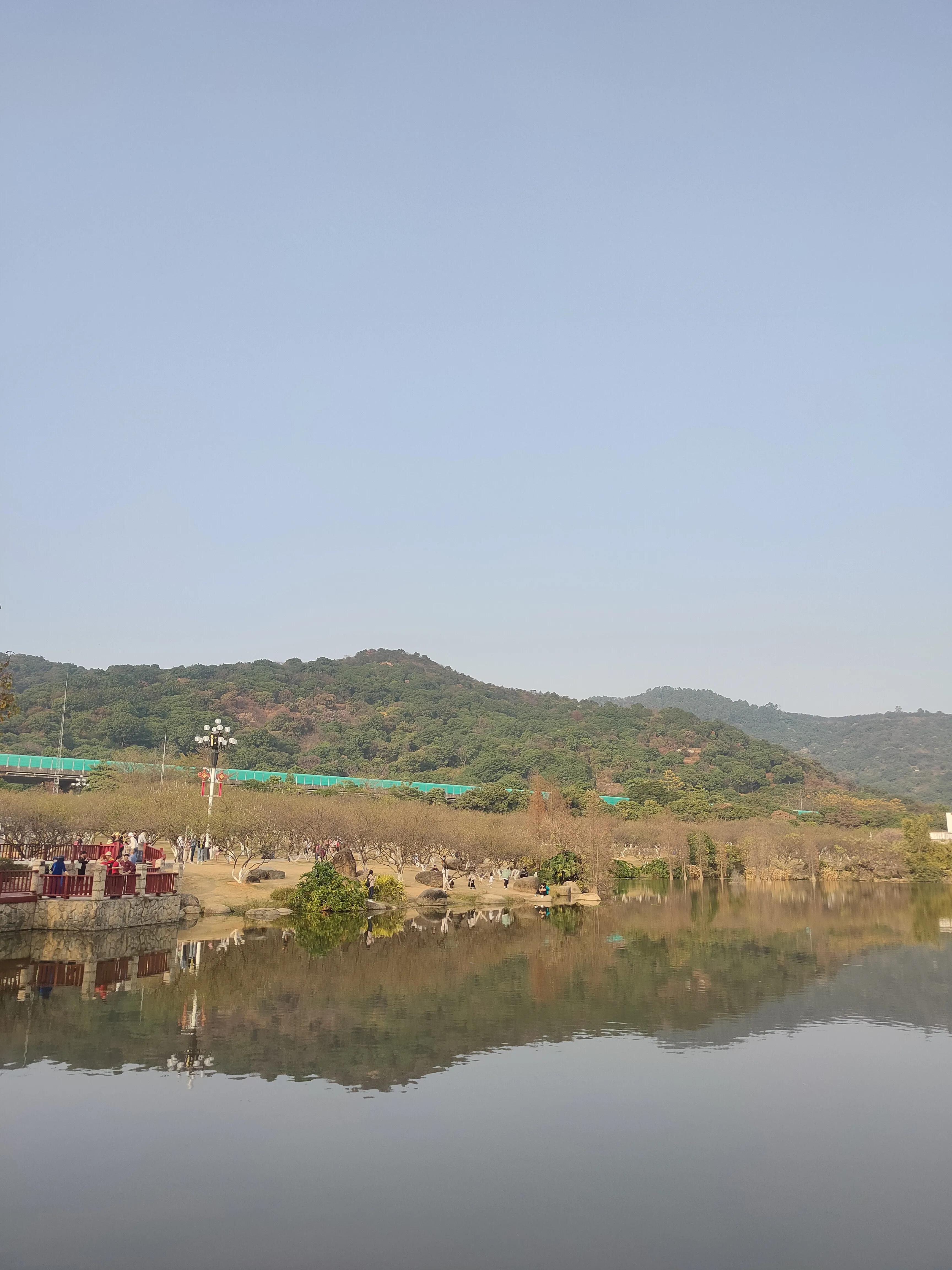 偌大的城市我的栖身之处在何处,偌大的城市容不下一个漂泊的灵魂