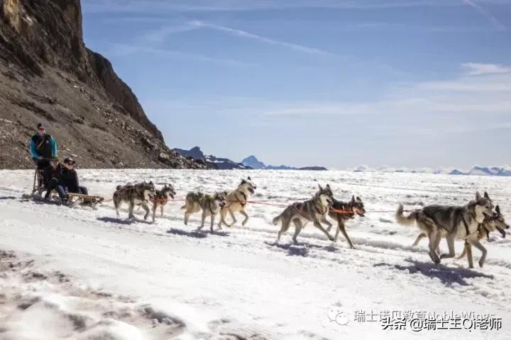 瑞士萝实国际学校录取难度,瑞士萝实国际学校怎么样