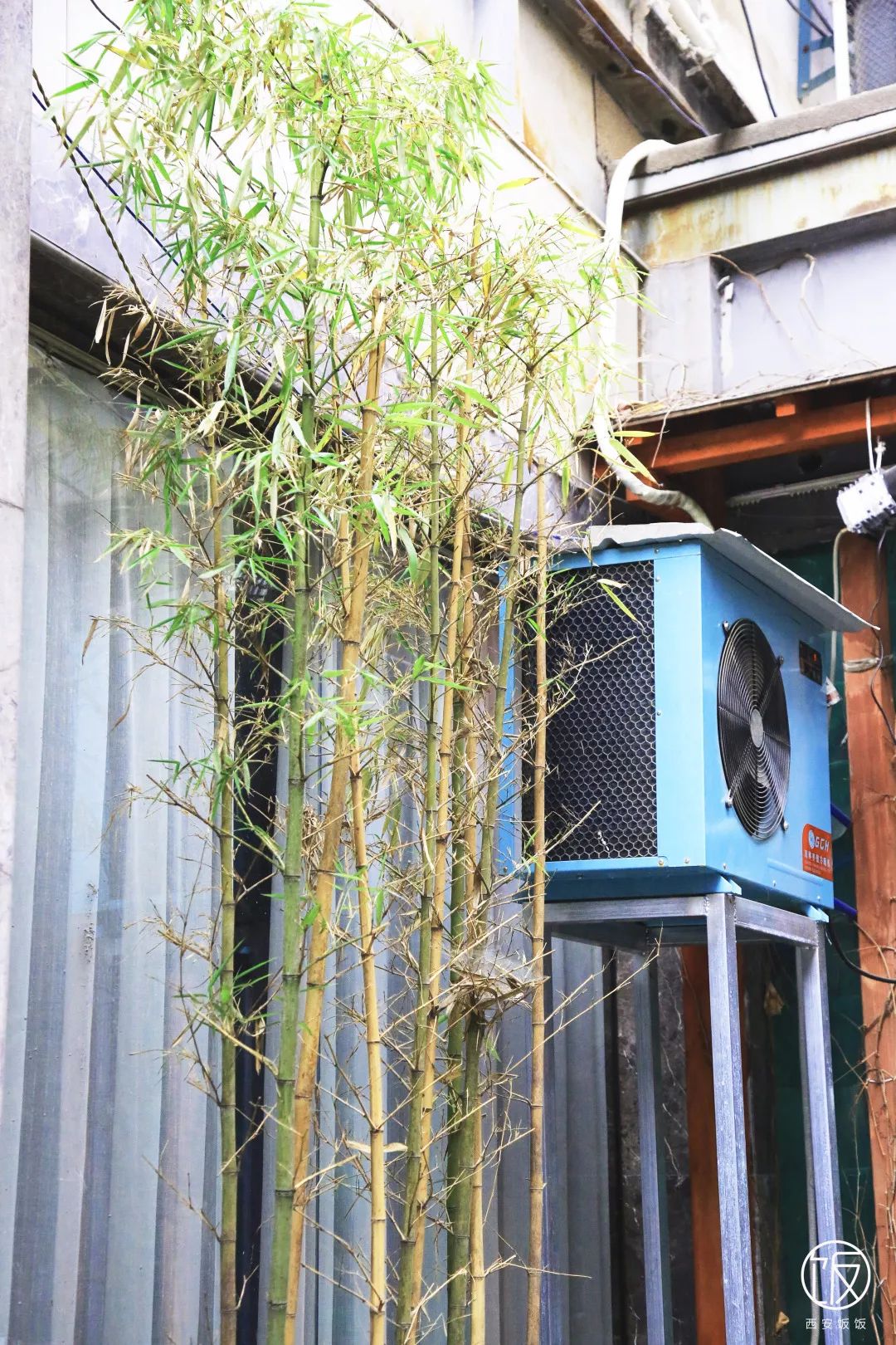 大厨师粉丝团,香港大厨师做菜