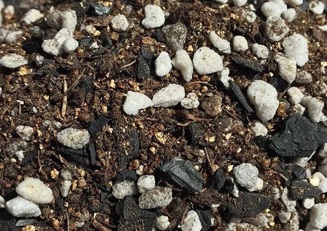 那些年被我们误会的名字,那些年被误会的歌