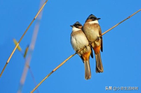 夫妻两地分居危害,两地分居假期规定