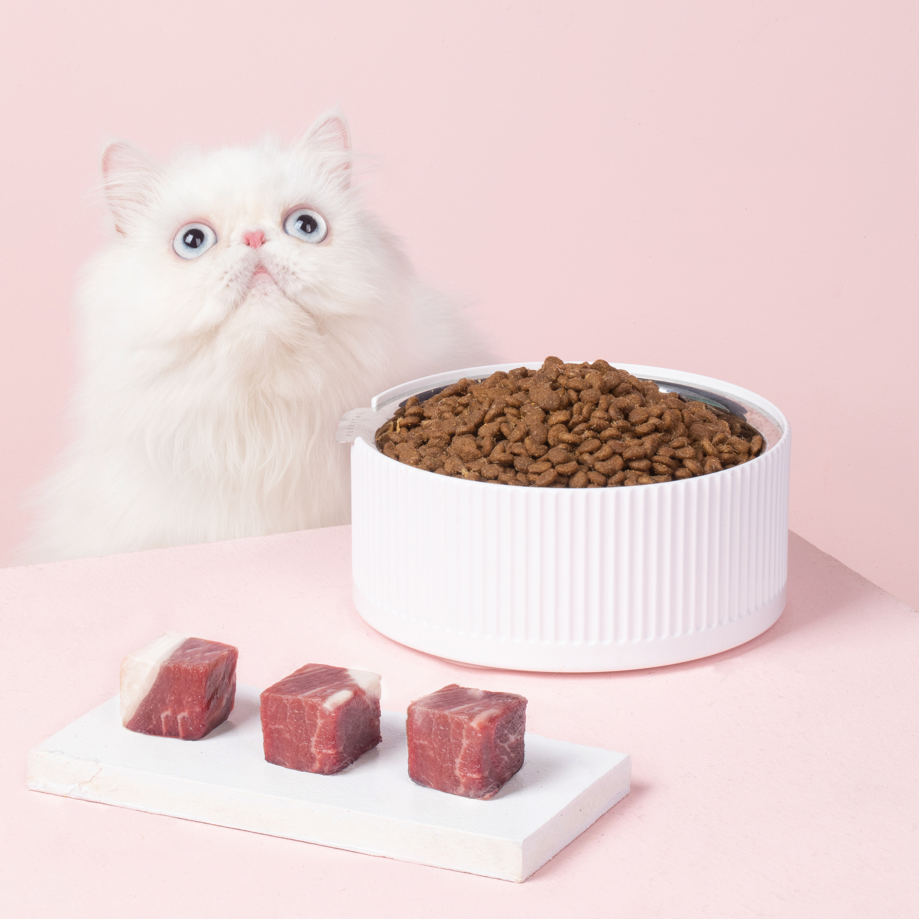 猫咪的屁屁臭怎么办,猫咪回南方拉屎特别臭