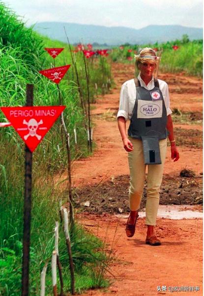 老婆孩子都不顾了?哈里难忘戴安娜王妃,执意重返非洲做慈善