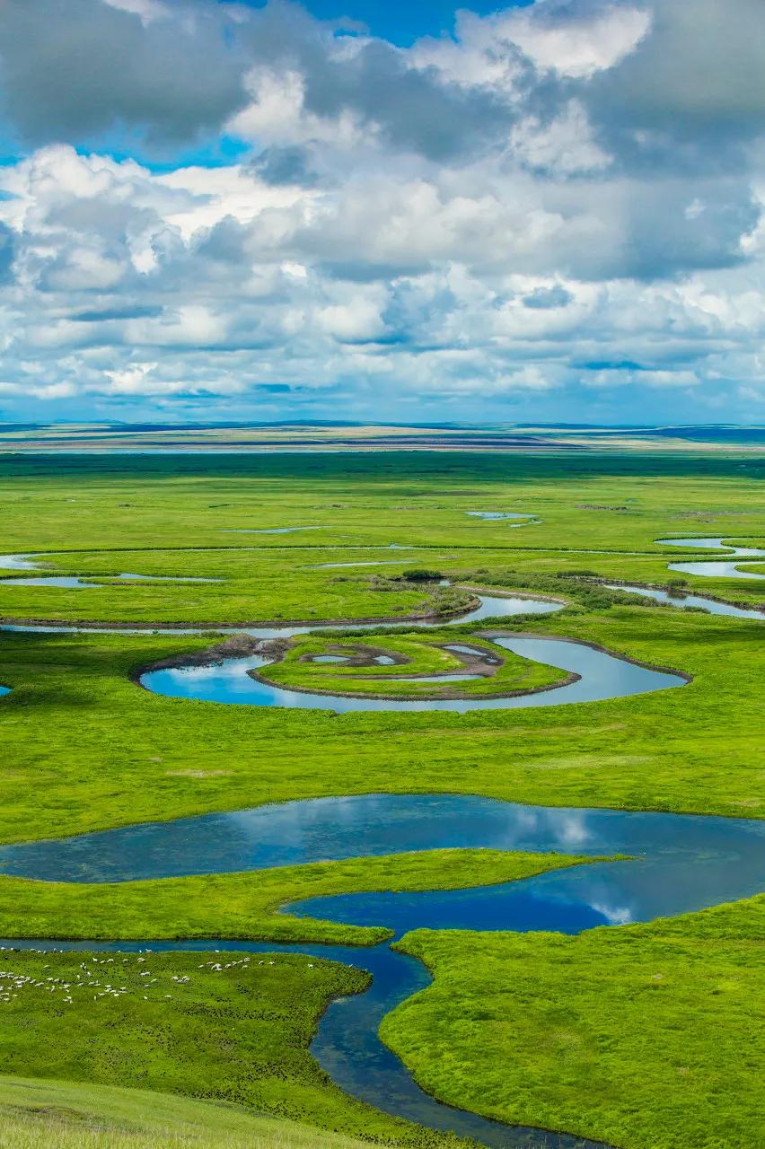 八月的呼伦贝尔大草原,辽阔的呼伦贝尔大草原风景