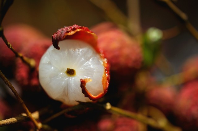 吃什么水果解暑降温,适合冰着吃的水果