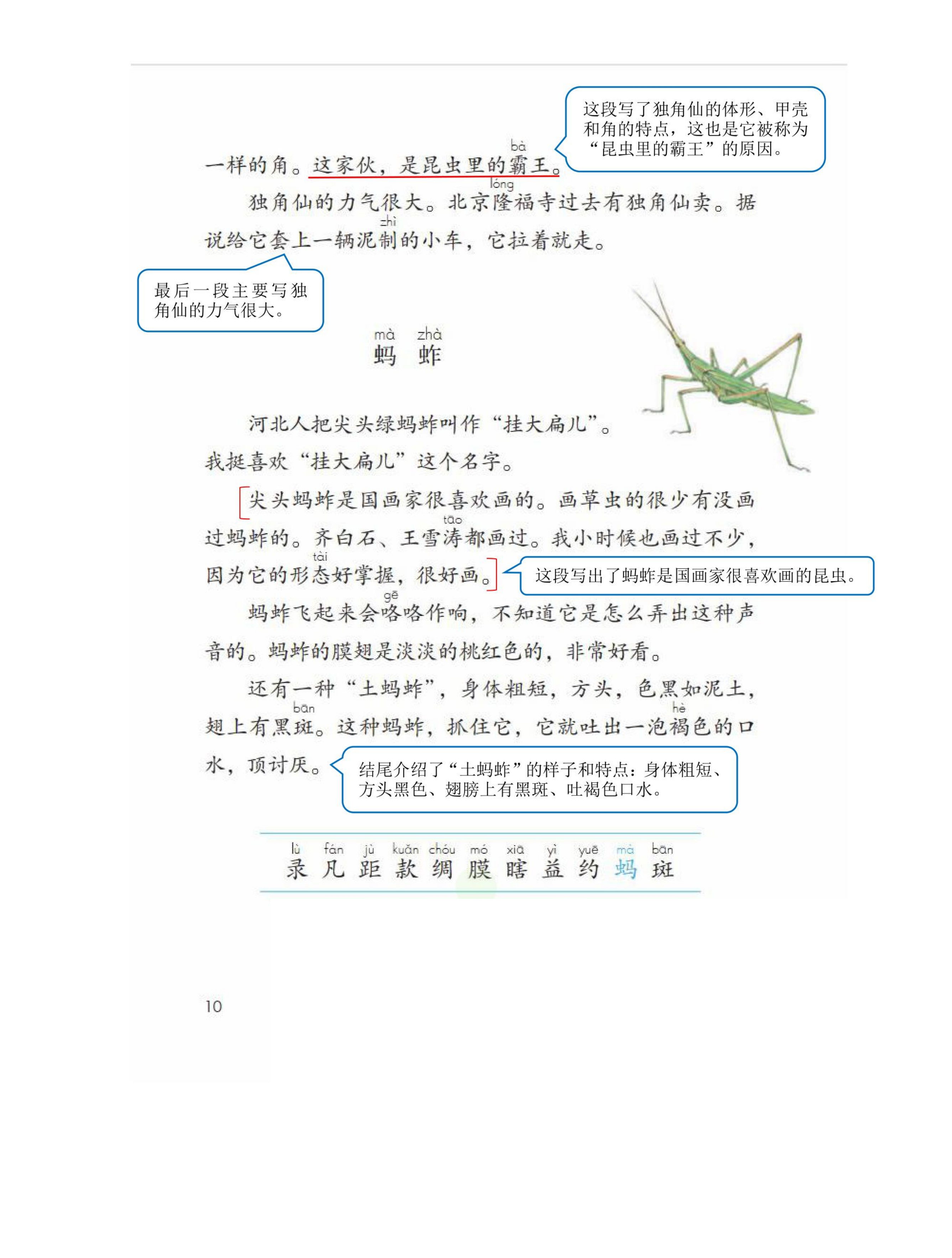 三年级语文下人教版第一单元笔记,三年级语文下册笔记完整版三单元