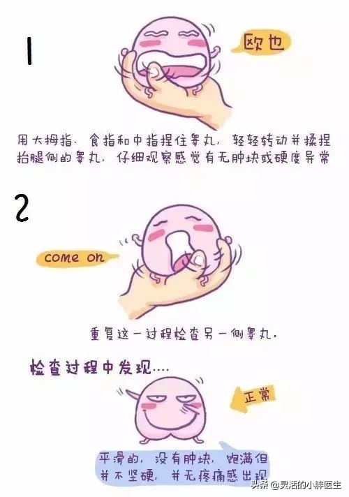 蛋蛋只有一个会影响生育吗,如果只有一个卵囊能去做试管吗