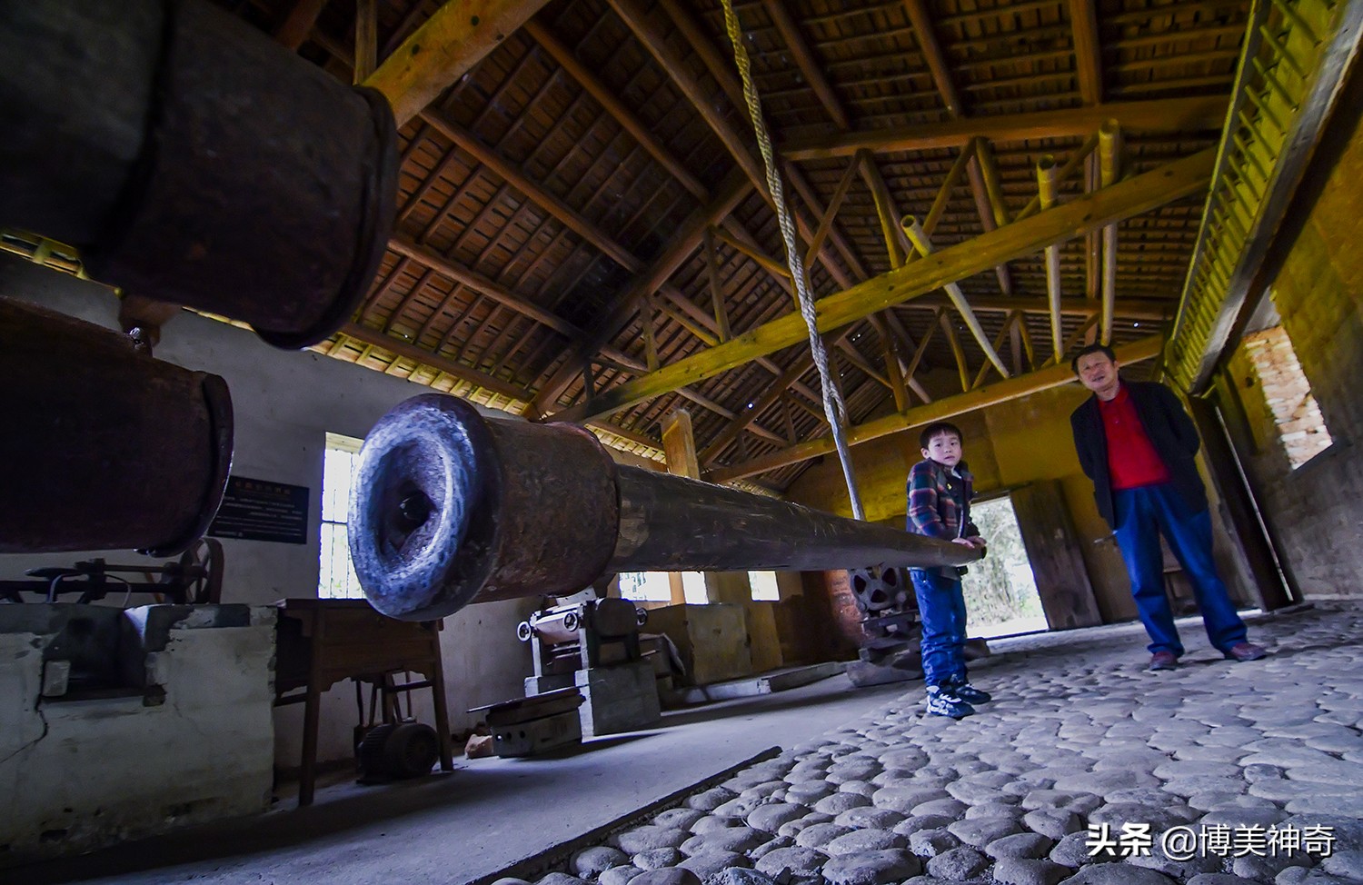 都知严田有棵救皇帝的樟王，却不明那七星伴月是何意，一图见真相