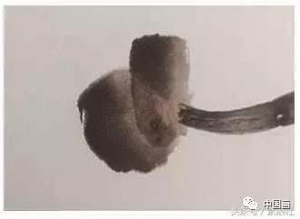 螃蟹怎么画儿童简笔画,画螃蟹怎么画简单又漂亮