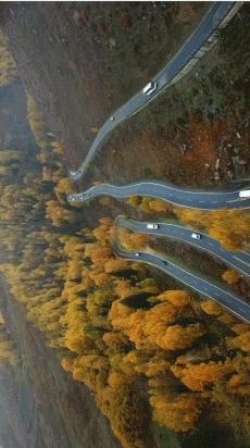 阿勒泰秋天有多美,秋天的新疆阿勒泰太美