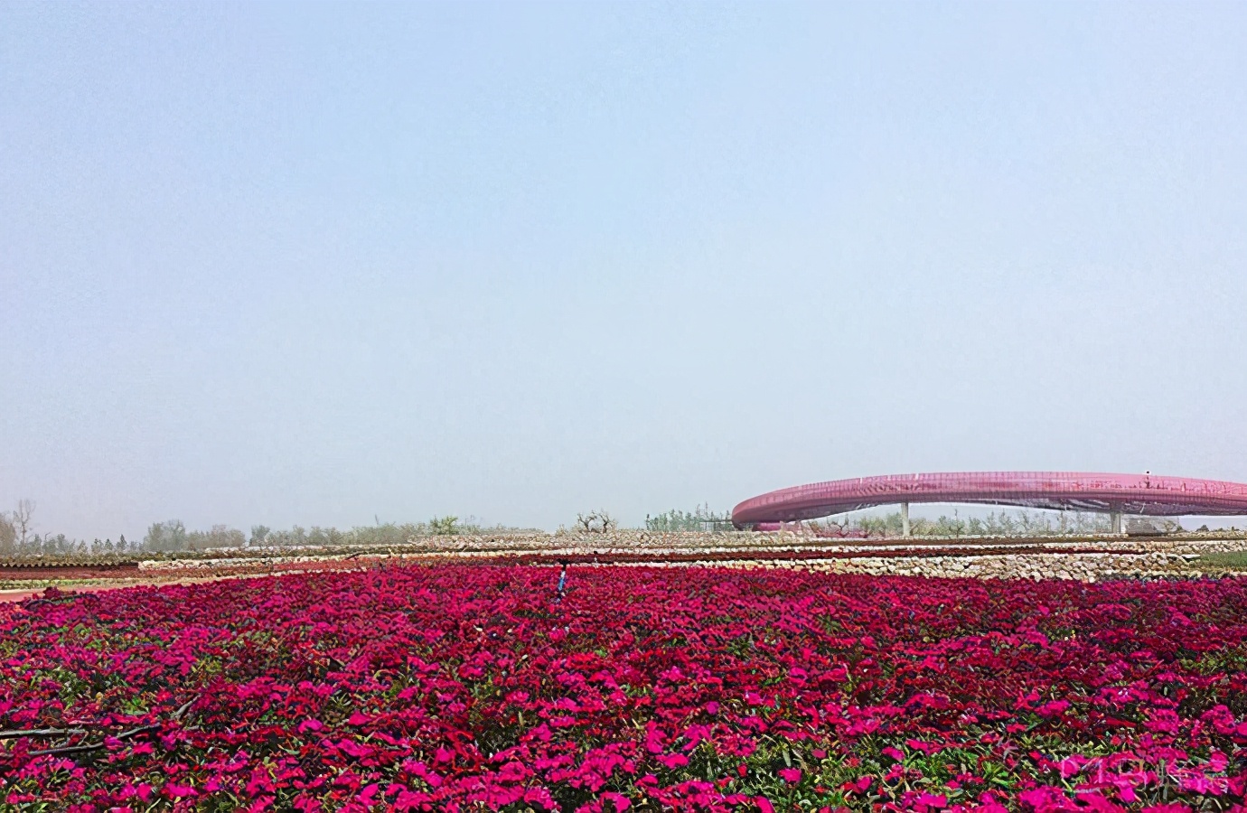 浅谈全国34个省级区域之华东篇：江苏省—宿迁市