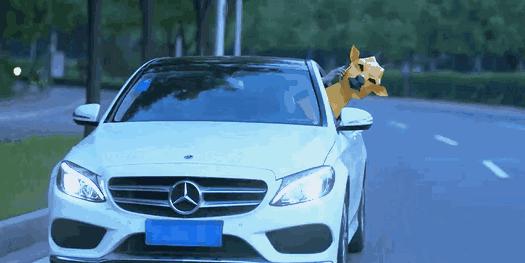 职场b5手环怎么样,职场精英怎么修炼