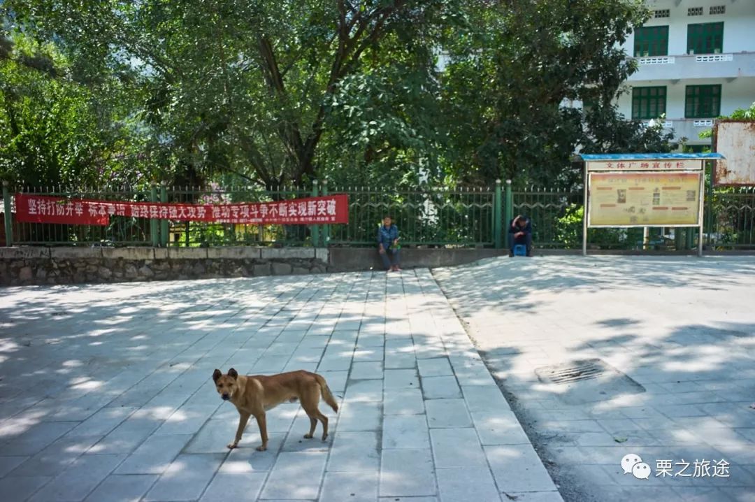 徕卡2490f2.8一机走天下,徕卡m9风景参数