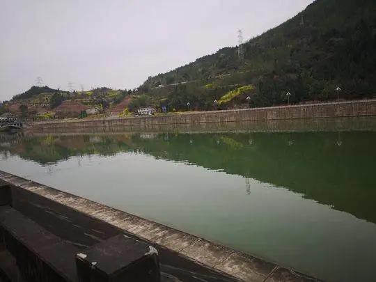 女孩坠河男孩救人溺亡,女子不慎坠河男子舍身相救后续