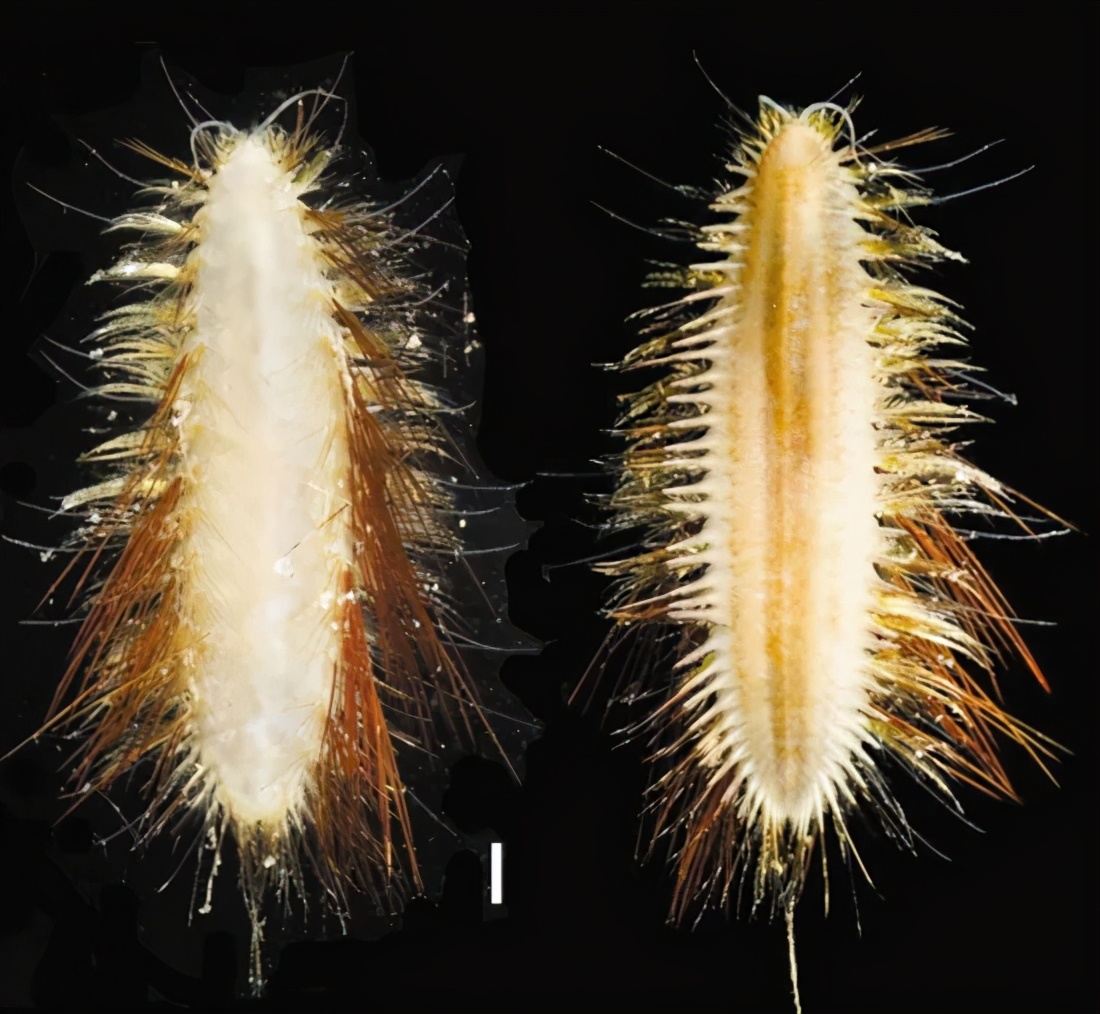 你对海洋了解多少个视频,你对海洋馆了解多少