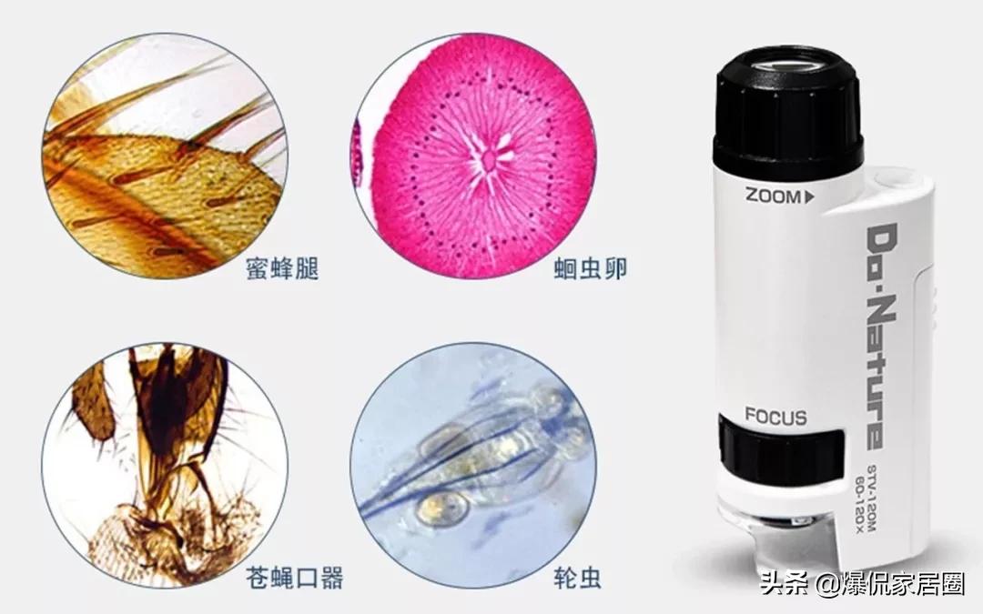 儿童科学30000倍显微镜,儿童电子显微镜真的1000倍