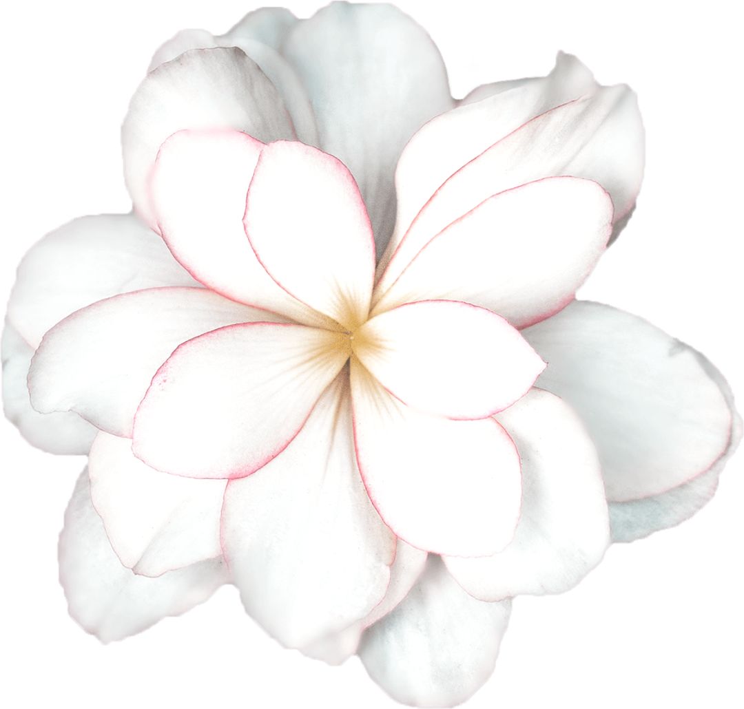 我月入4000也能住豪宅，一个操作实现梦想…