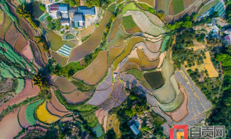 贫困户50万扶贫资金的应用,富顺县社会扶贫工作