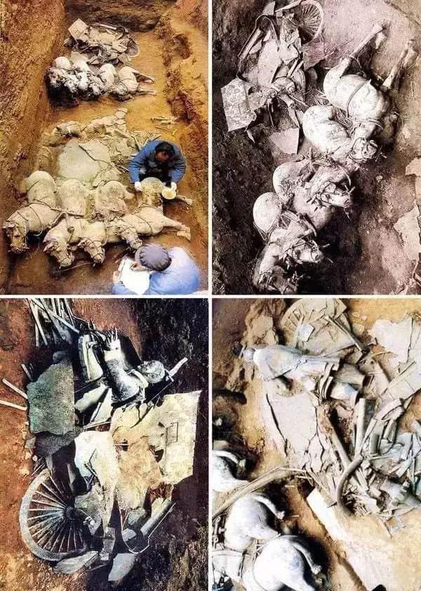 缃戠孩鏁呭鎷煎浘,鏁呭缃戠孩浣滃搧