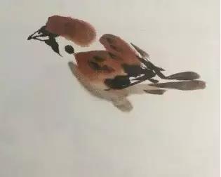 写意花鸟配景石的画法,干货写意花鸟类的画法