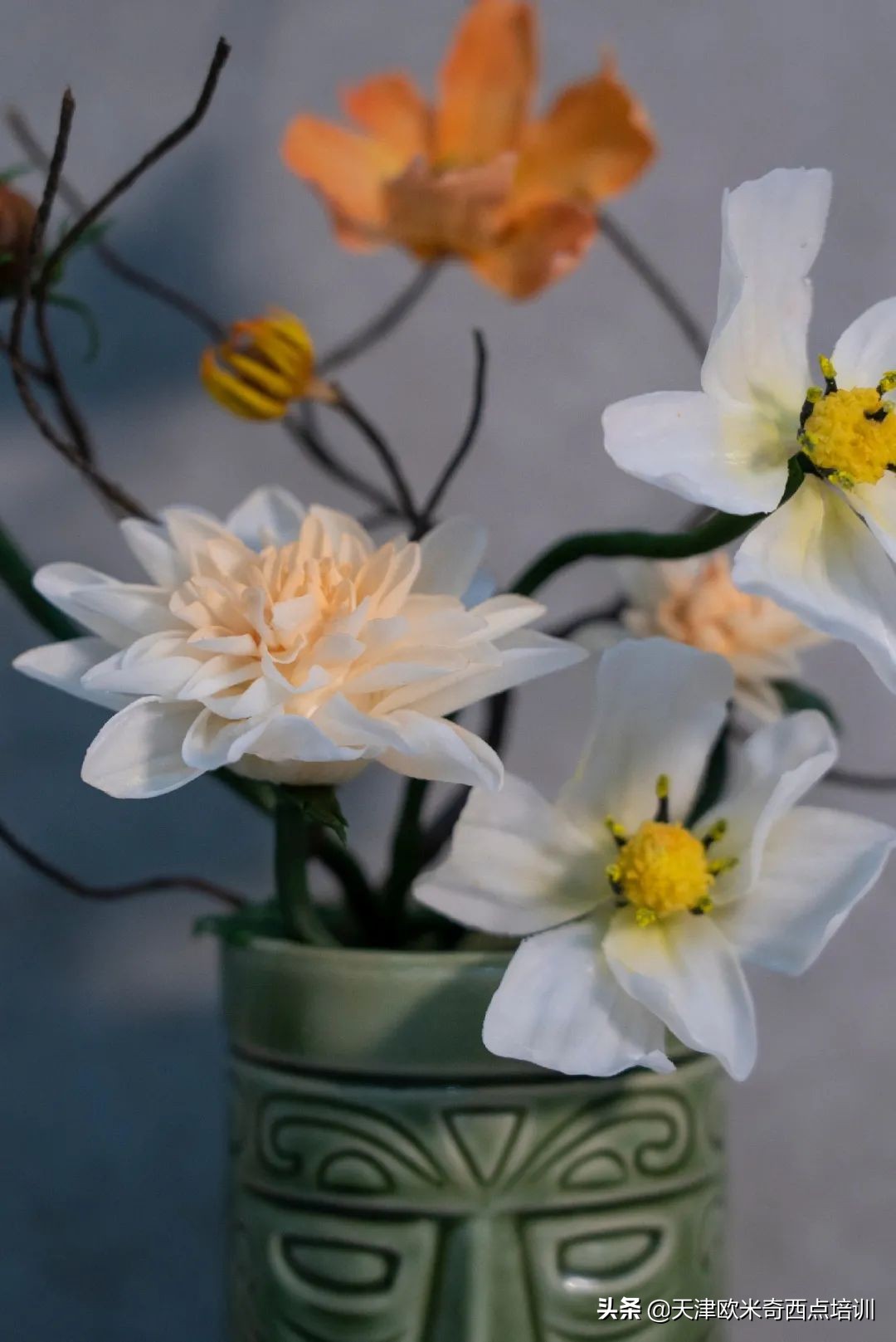 欧米奇学员真实学习体验,天津欧米奇学校可靠吗