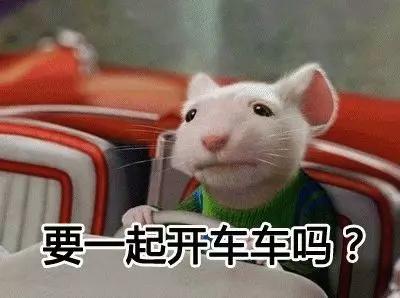 域名是啥?乔碧萝,冯提莫.com被挂出来卖