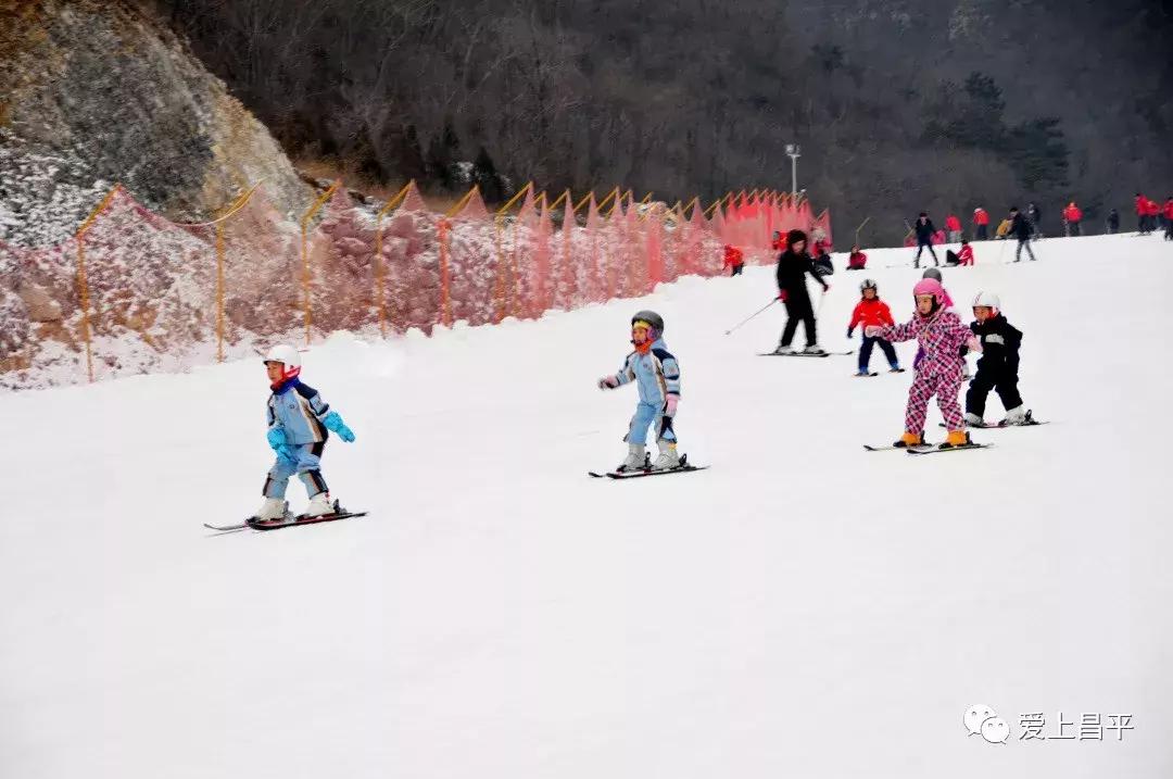 享受自家小院这悠闲时光,享受独处小院时光