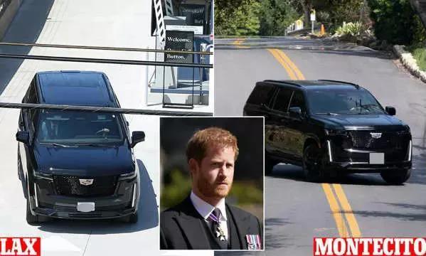 皇室梅根哈里,哈里和梅根的大揭秘