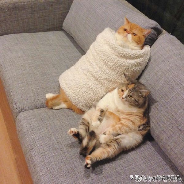 没头发有钱,没时间的同时还没钱